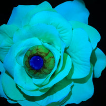 Cargar imagen en el visor de la galería, Eye Ball Flower Hair Clip or Pin