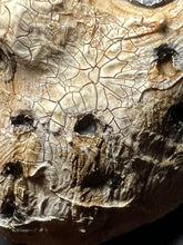 Cargar imagen en el visor de la galería, Friday the 13th Necklace