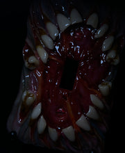 Cargar imagen en el visor de la galería, Teeth Light Switch Cover
