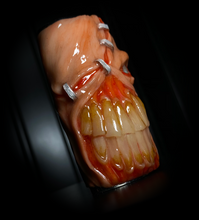 Load image into Gallery viewer, Evil Resident Inspired Lighter Sleeve