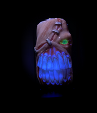 Load image into Gallery viewer, Evil Resident Inspired Lighter Sleeve
