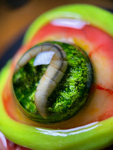 Cargar imagen en el visor de la galería, Worm Eye Shot Glass