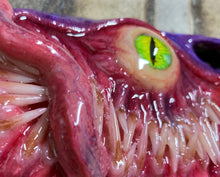 Cargar imagen en el visor de la galería, Horizontal Monster Phone Case Artist Choice Phone Case